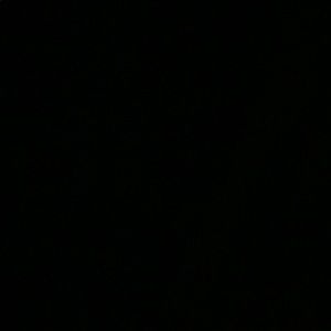 Meet your Posher, Tierra